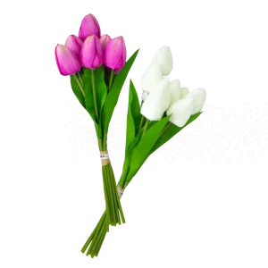 Ramo de 9 tulipanes