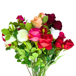 Rosa individual con capullo