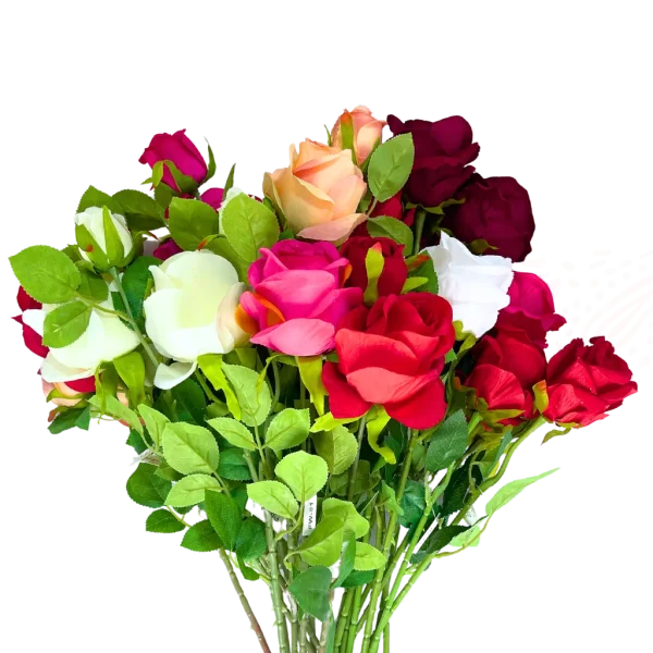 Rosa individual con capullo