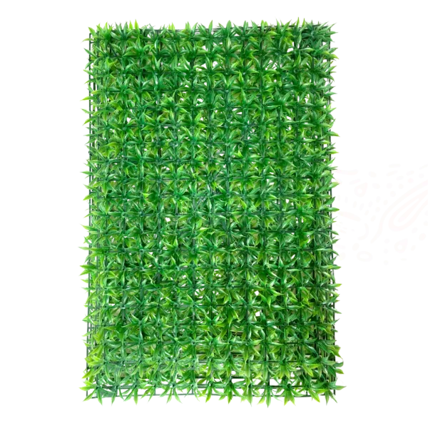 Panel de grama china 60x40cm