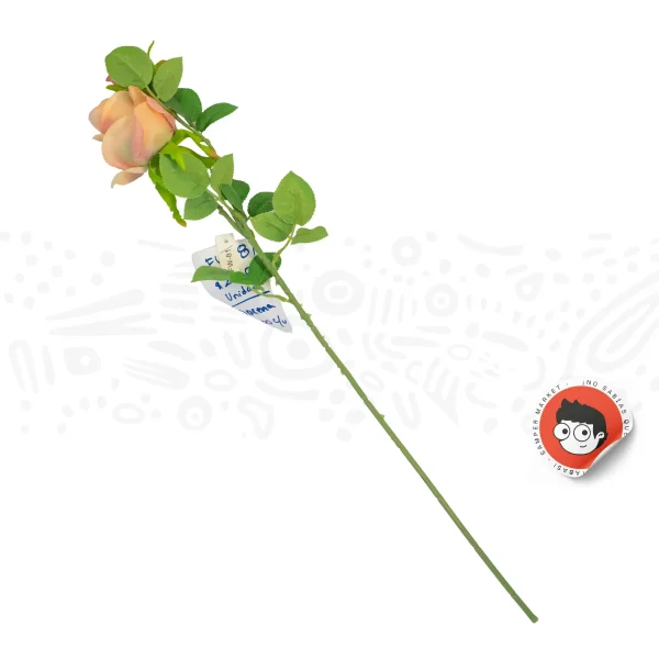 Docena de rosa con capullo 64cm - Imagen 2