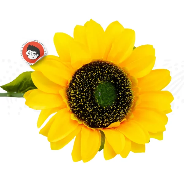 Girasol sencillo vara 60cm - Imagen 3